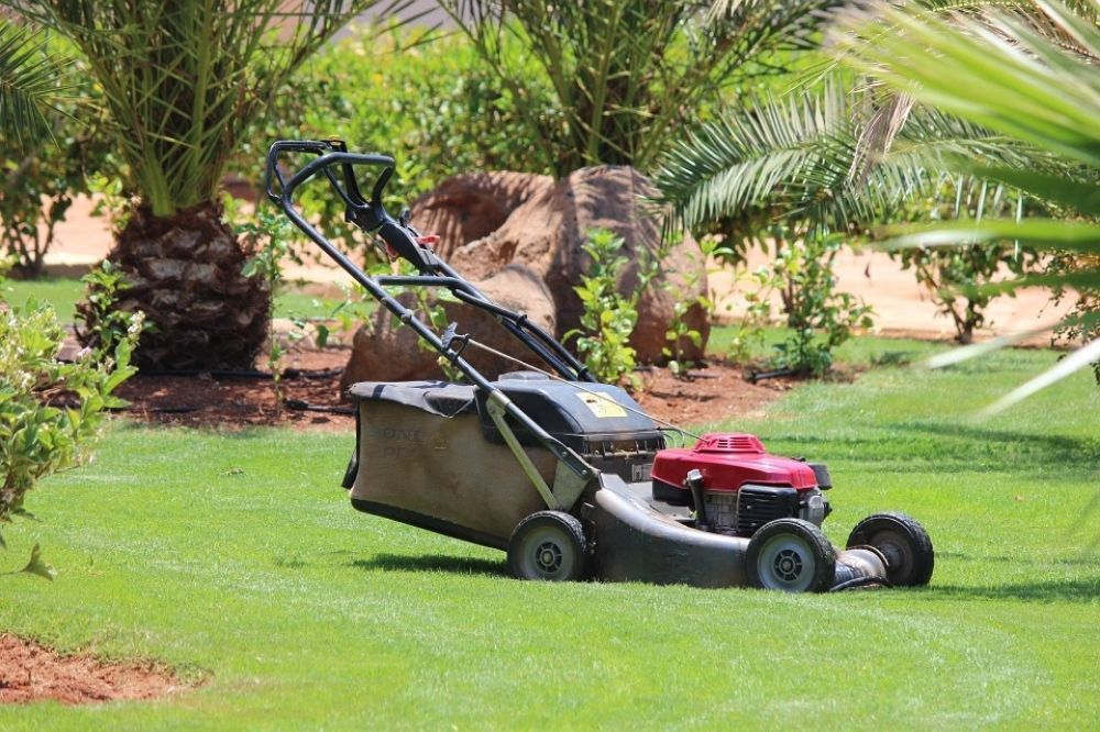 TOP BENEFITS OF BUYING A LAWN MOWER - Lastoremart